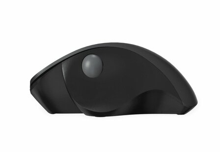 Qware Luton | Draadloze Muis | RF-Draadloos | 1600 DPI | Zwart