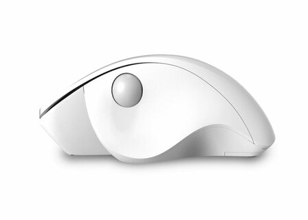 Qware Luton | Draadloze Muis | RF-Draadloos | 1600 DPI | Wit