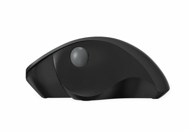 Qware Luton | Draadloze Muis | RF-Draadloos | 1600 DPI | Zwart