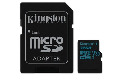 Kingston Technology Canvas Go! flashgeheugen 32 GB MicroSDHC Klasse 10 UHS-I