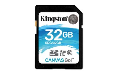 Kingston Technology Canvas Go! flashgeheugen 32 GB SDHC Klasse 10 UHS-I