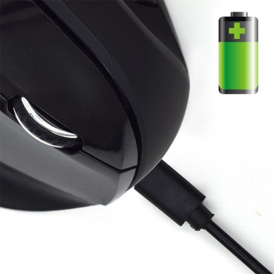 Ewent EW3158 muis 1600 DPI Rechtshandig